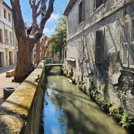 5 ביוני 2023 · Avignon, France