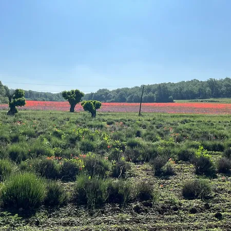 3 ביוני 2023 · Provance, France